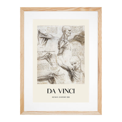 Human Anatomy Vol.3 Print By Leonardo Da Vinci