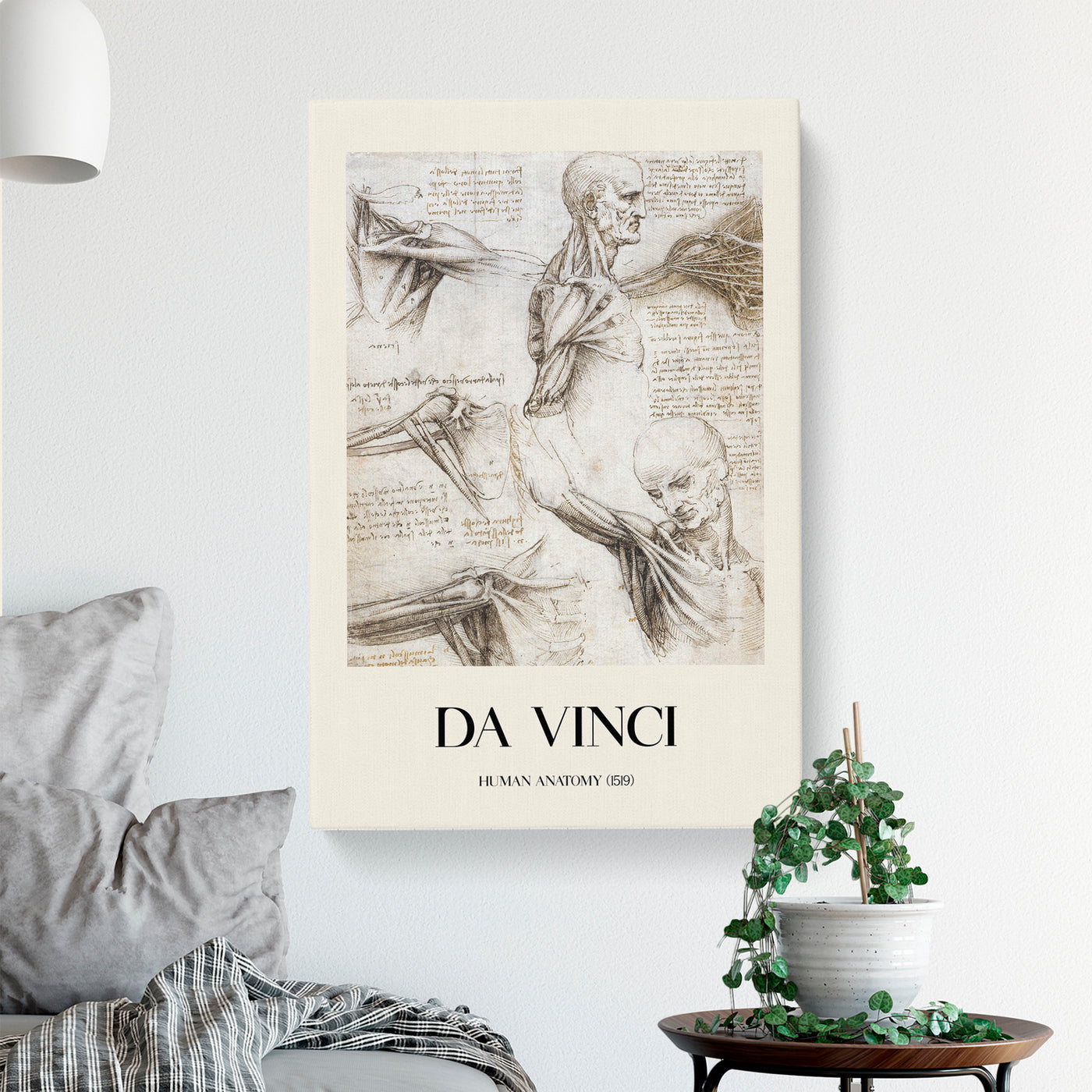 Human Anatomy Vol.3 Print By Leonardo Da Vinci