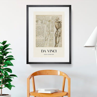 Human Anatomy Vol.6 Print By Leonardo Da Vinci