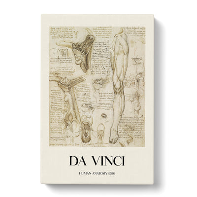 Human Anatomy Vol.7 Print By Leonardo Da Vinci Canvas Print Main Image