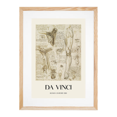 Human Anatomy Vol.7 Print By Leonardo Da Vinci