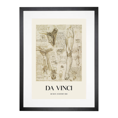 Human Anatomy Vol.7 Print By Leonardo Da Vinci Framed Print Main Image