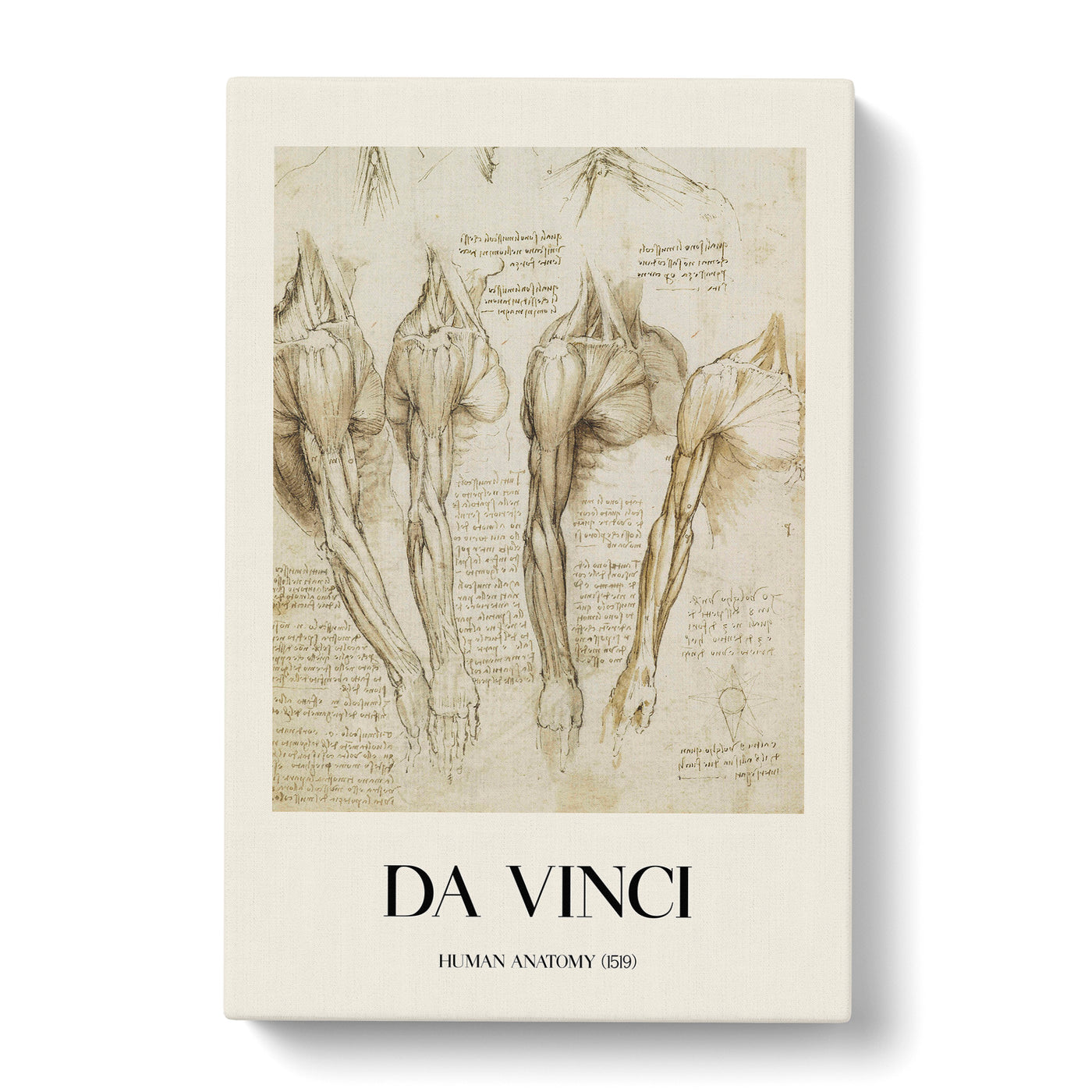 Human Anatomy Vol.8 Print By Leonardo Da Vinci Canvas Print Main Image