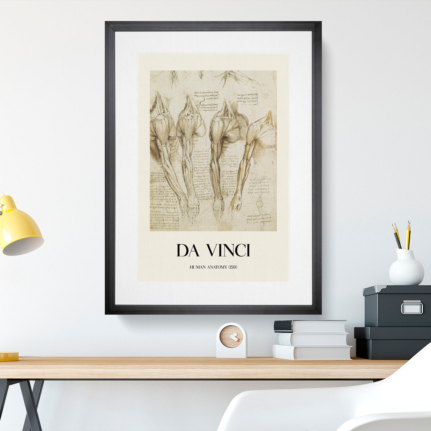 Human Anatomy Vol.8 Print By Leonardo Da Vinci