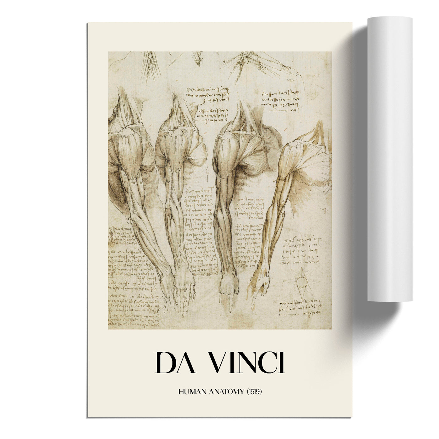 Human Anatomy Vol.8 Print By Leonardo Da Vinci