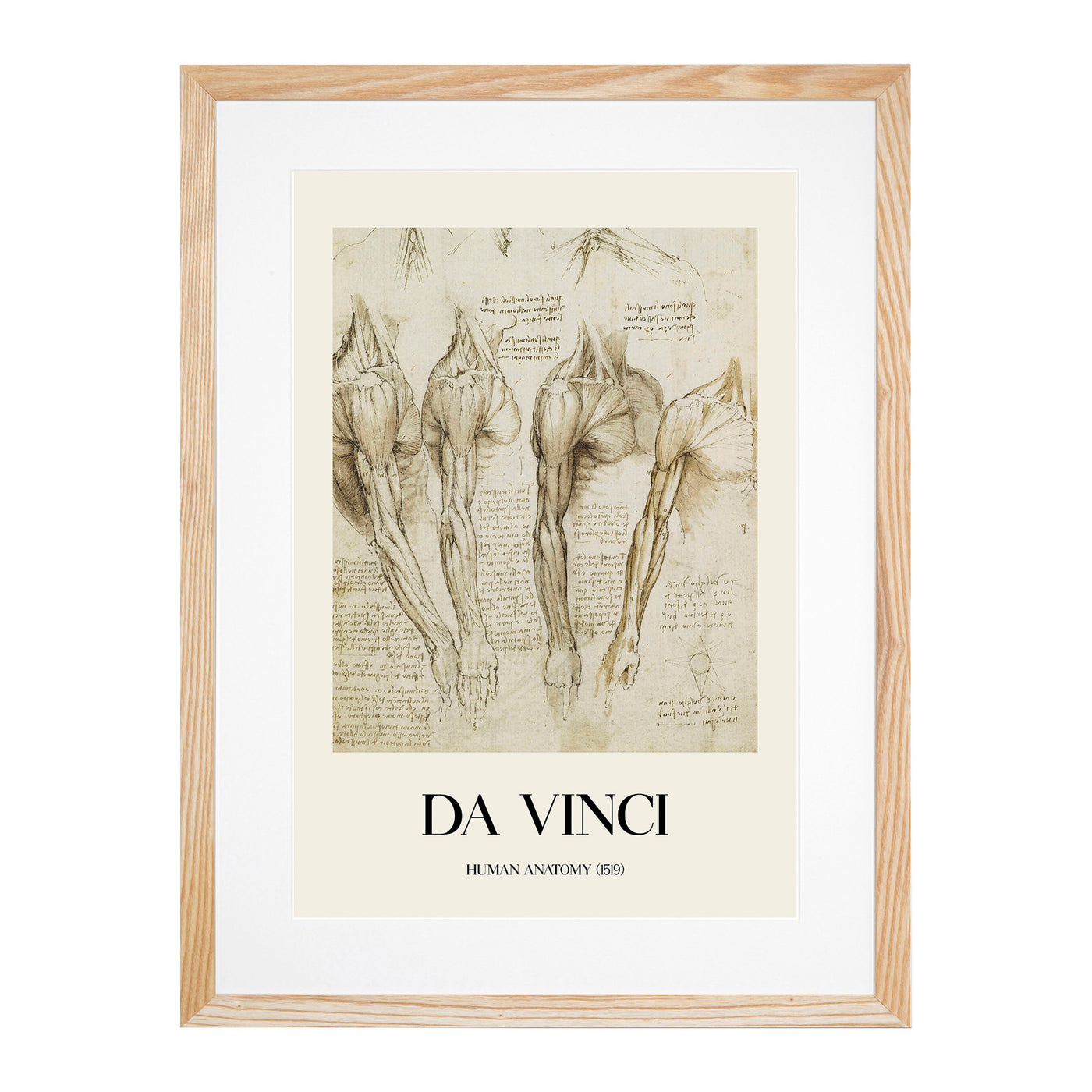 Human Anatomy Vol.8 Print By Leonardo Da Vinci