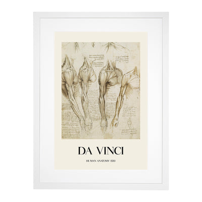 Human Anatomy Vol.8 Print By Leonardo Da Vinci