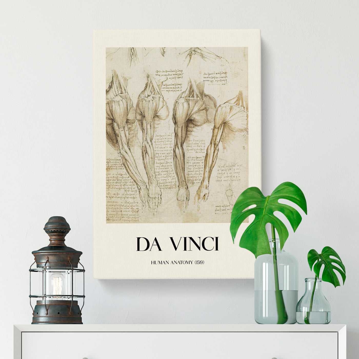 Human Anatomy Vol.8 Print By Leonardo Da Vinci