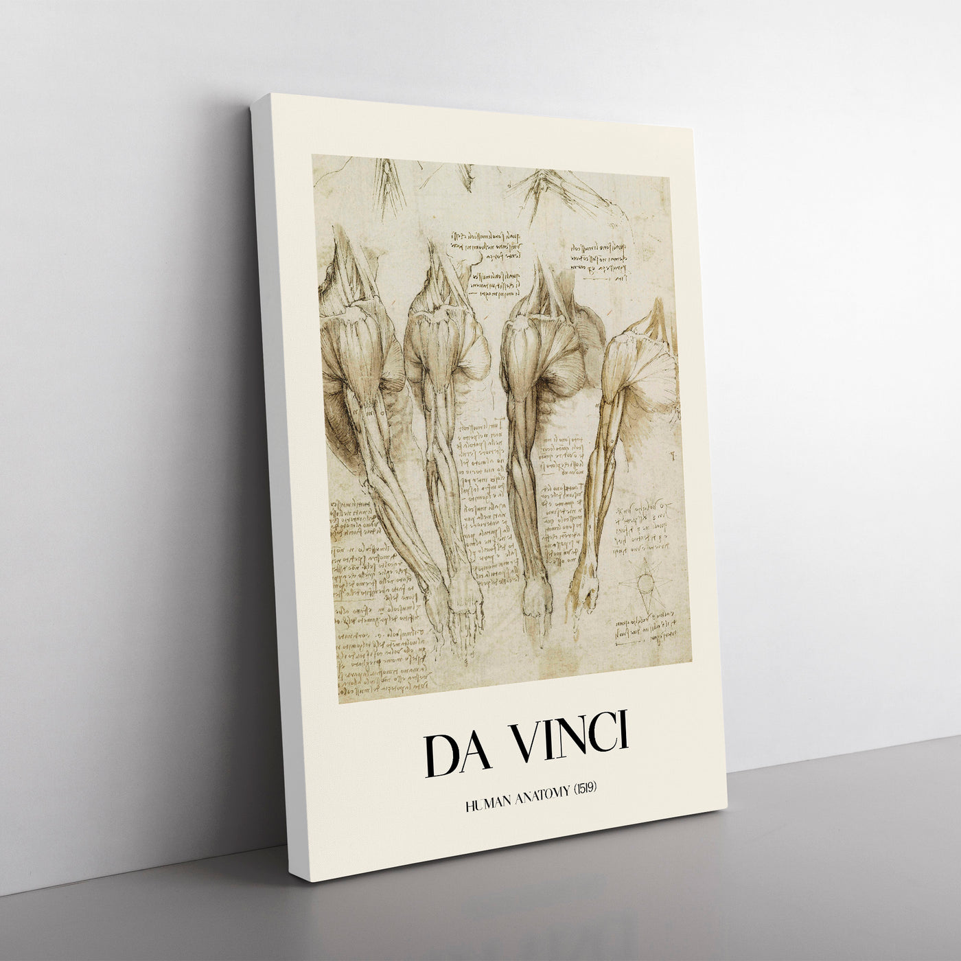 Human Anatomy Vol.8 Print By Leonardo Da Vinci