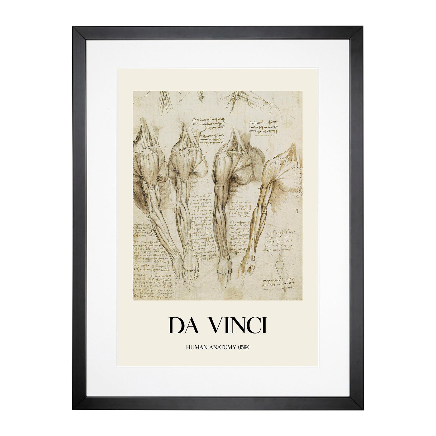 Human Anatomy Vol.8 Print By Leonardo Da Vinci Framed Print Main Image