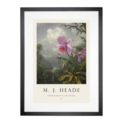 Hummingbird On The Orchid Plant Print By Martin Johnson Heade Framed Print Main Image