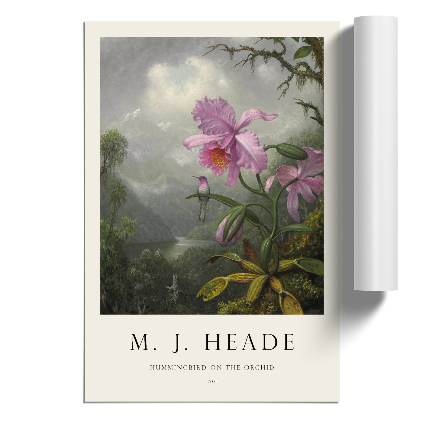 Hummingbird On The Orchid Plant Print By Martin Johnson Heade