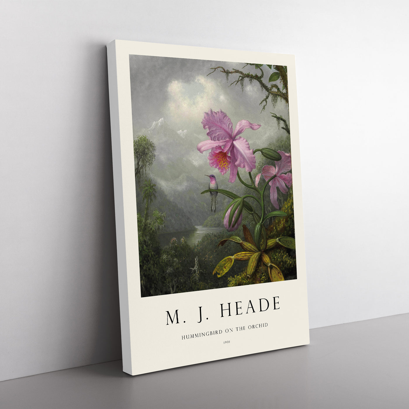 Hummingbird On The Orchid Plant Print By Martin Johnson Heade