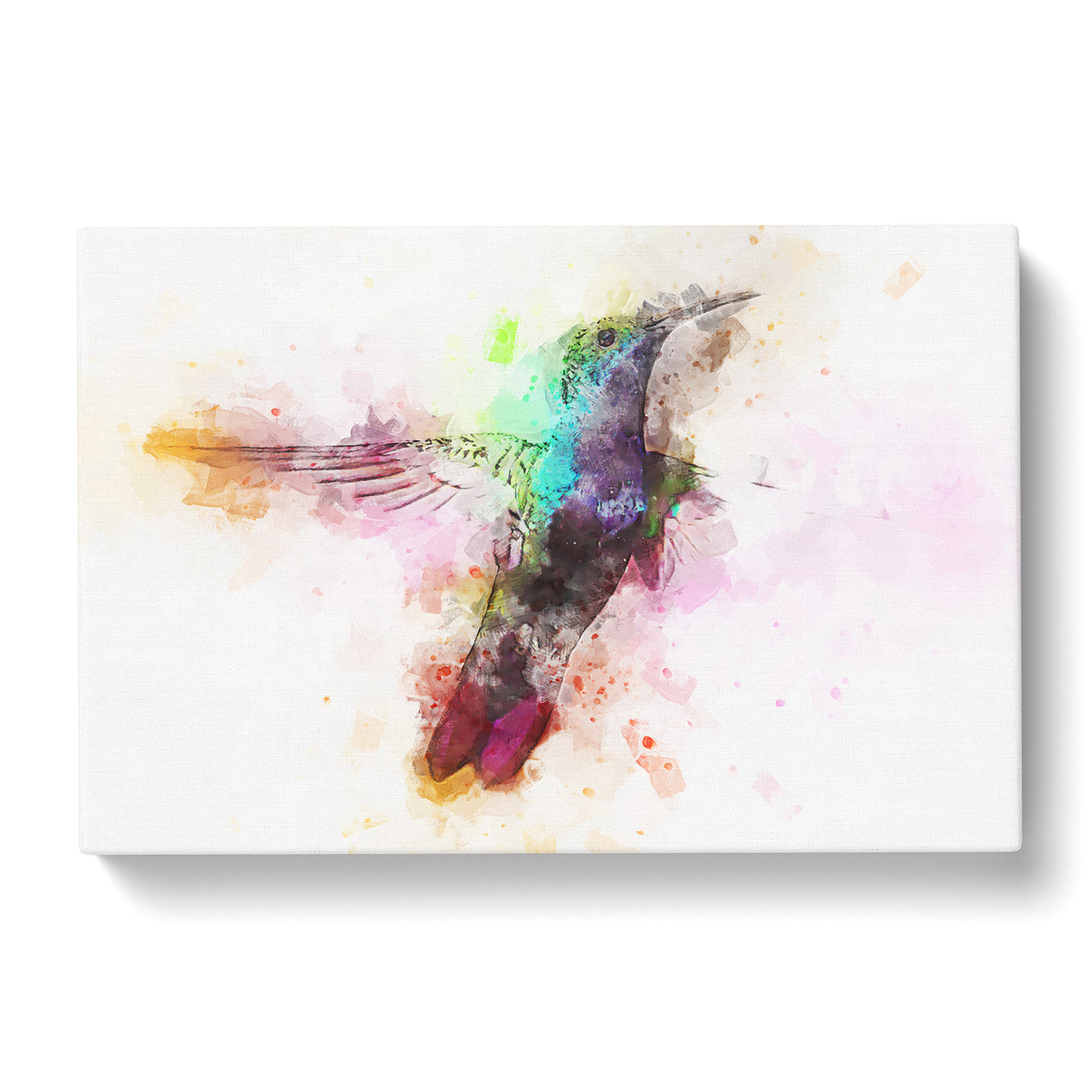 Hummingbird Paint Spash In Abstract Canvas Print Main Image