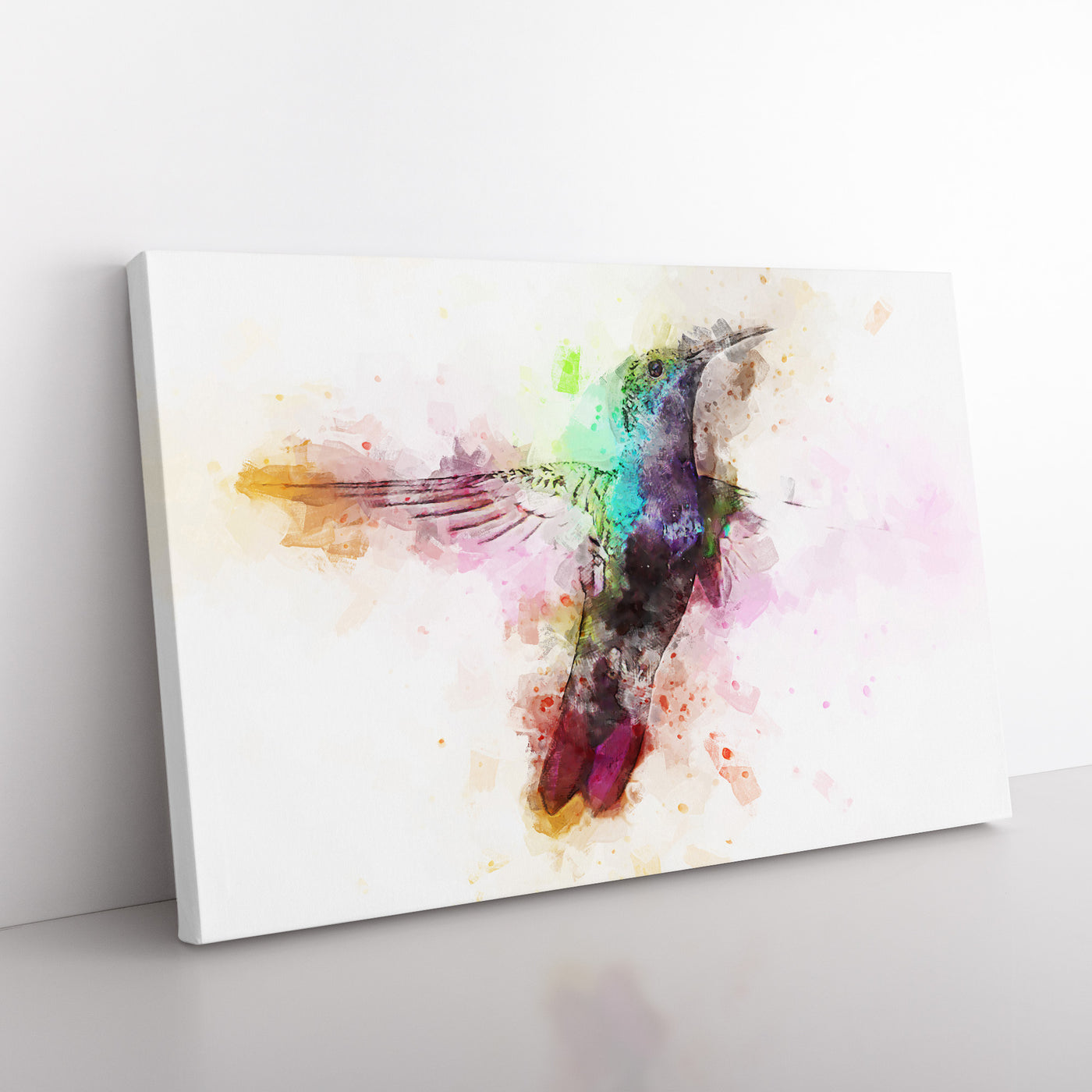 Hummingbird Paint Spash