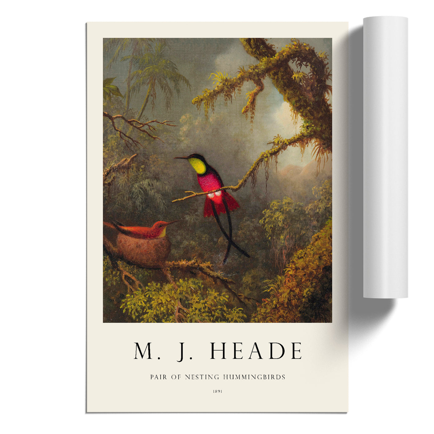 Hummingbird Print By Martin Johnson Heade