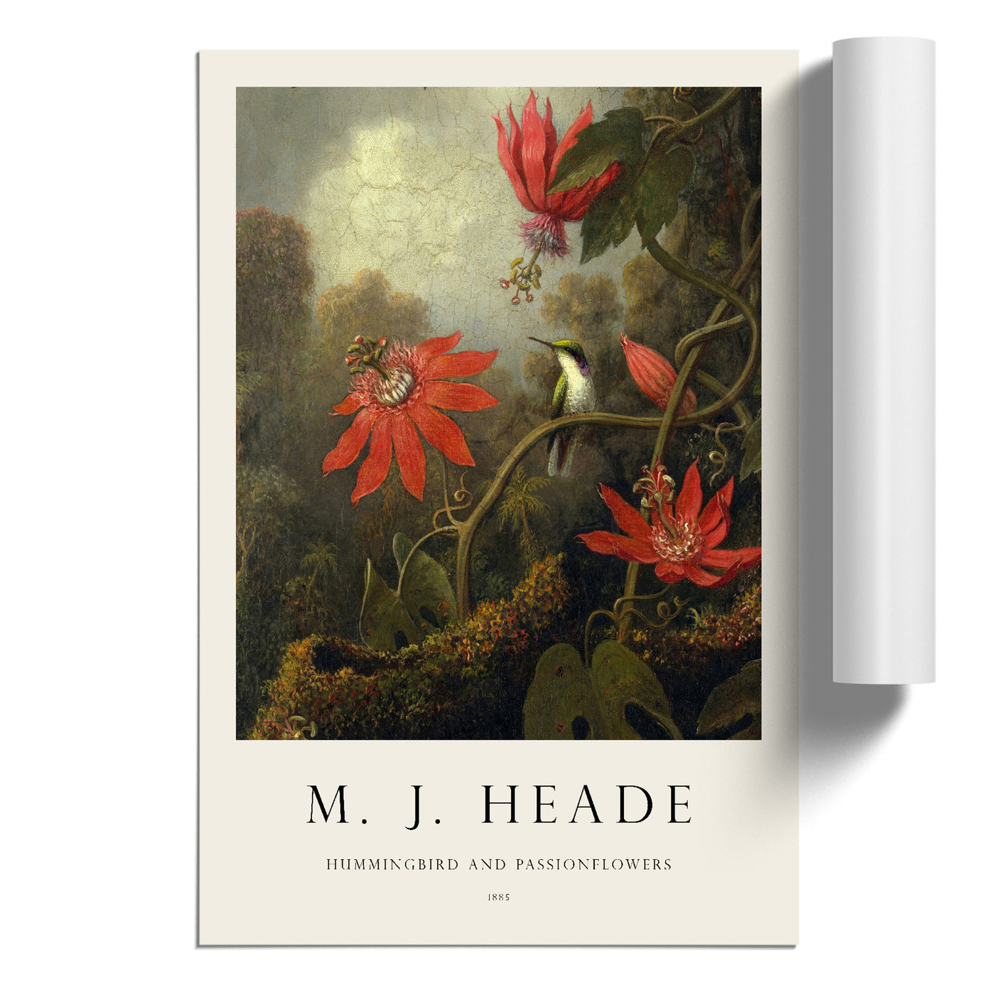 Hummingbird And Flowers Print By Martin Johnson Heade