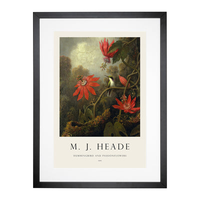 Hummingbird And Flowers Print By Martin Johnson Heade Framed Print Main Image