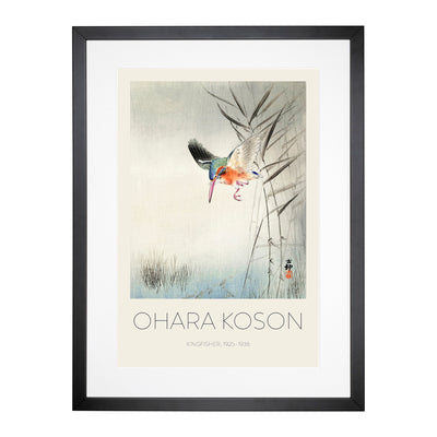 Hunting Kingfisher Print By Ohara Koson Framed Print Main Image