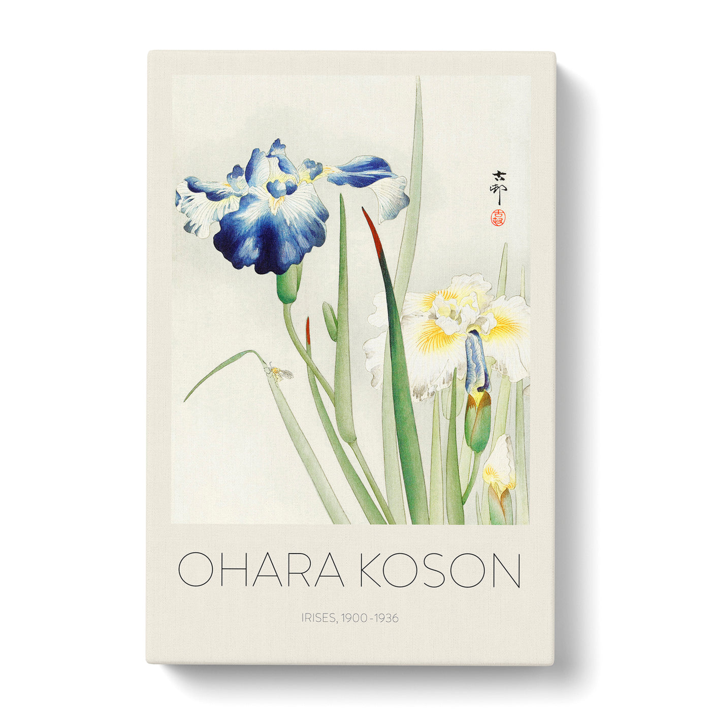 Irises Print By Ohara Koson Canvas Print Main Image