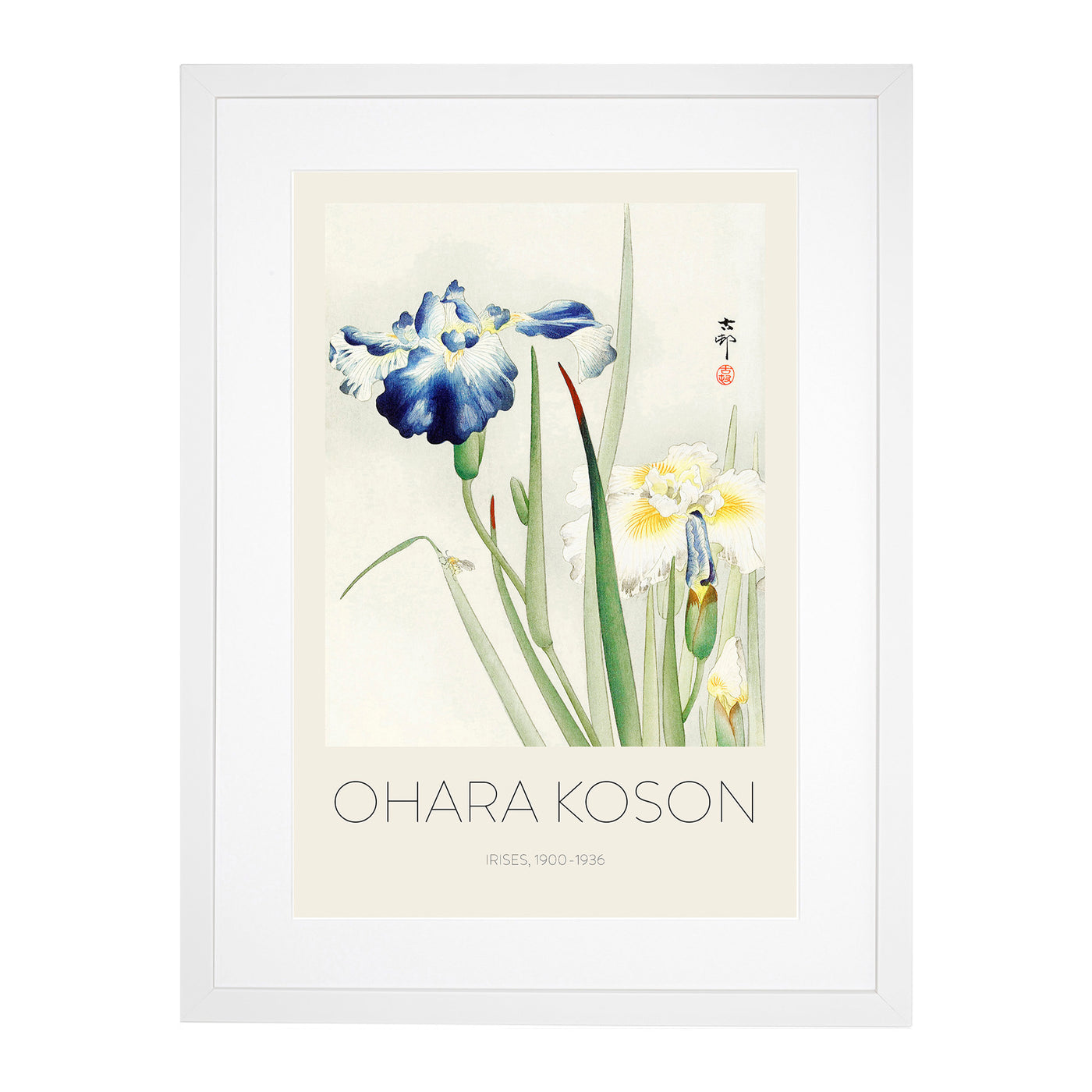 Irises Print By Ohara Koson