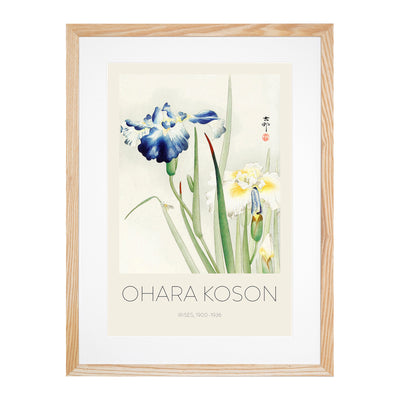 Irises Print By Ohara Koson