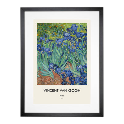 Irises Print By Vincent Van Gogh Framed Print Main Image