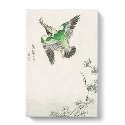 Japanese Common Kingfisher By Numata Kashu Canvas Print Main Image