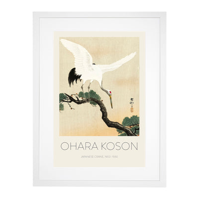 Japanese Crane Birds Print By Ohara Koson