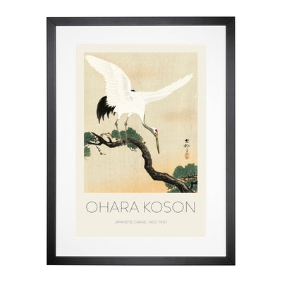 Japanese Crane Birds Print By Ohara Koson Framed Print Main Image