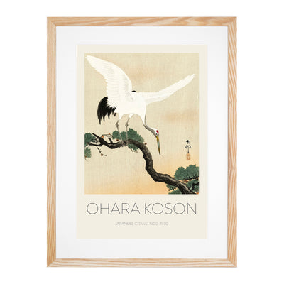 Japanese Crane Birds Print By Ohara Koson