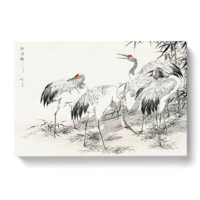 Japanese Cranes By The Bamboo By Numata Kashu Canvas Print Main Image
