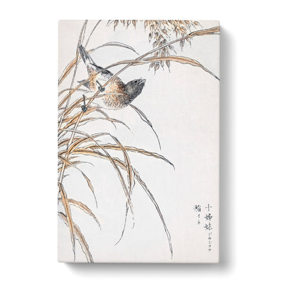 Japanese Grey Bunting Bird By Numata Kashu Canvas Print Main Image