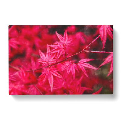 Japanese Maple Tree Painting Canvas Print Main Image