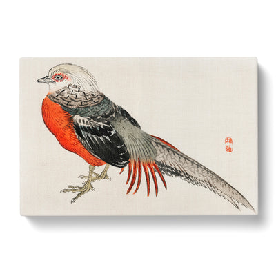 Japanese Pheasent By Kono Bairei Canvas Print Main Image