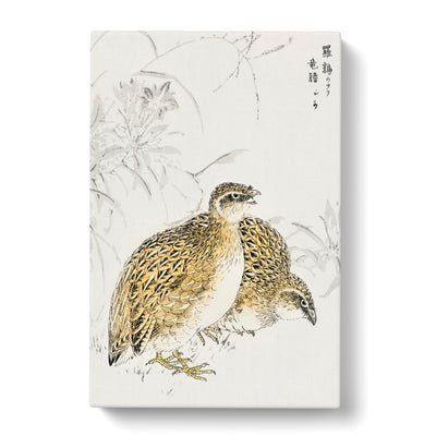 Japanese Quail Birds By Numata Kashucan Canvas Print Main Image