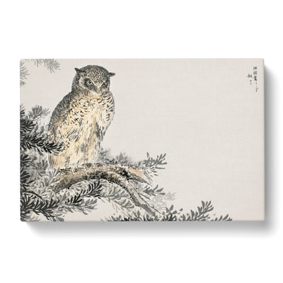 Japanese Scops Owl By Numata Kashu Canvas Print Main Image