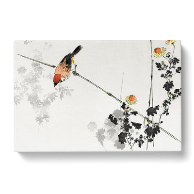 Japanese Swallow Bird By Watanabe Seitei Canvas Print Main Image