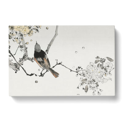Japanese Swallow By Watanabe Seitei Canvas Print Main Image