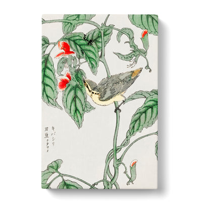 Japanese Tree Creeper Bird By Numata Kashu Canvas Print Main Image