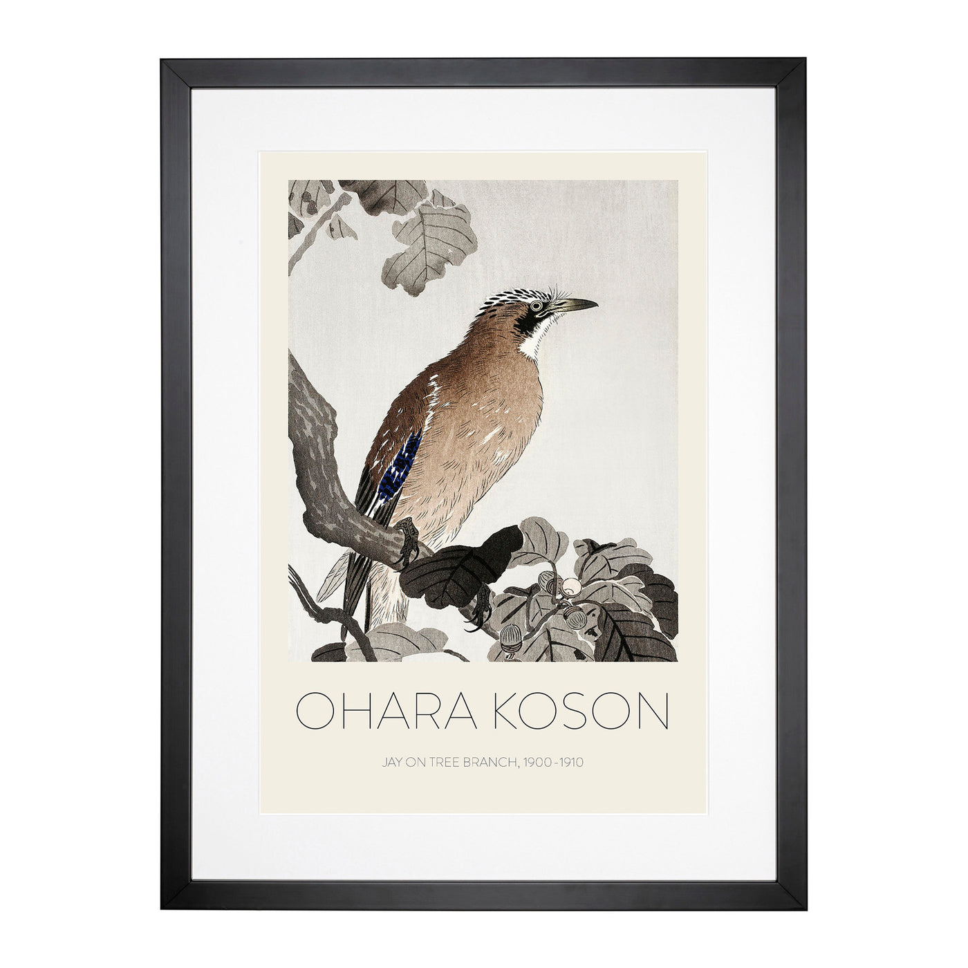 Jay On A Tree Branch Print By Ohara Koson Framed Print Main Image