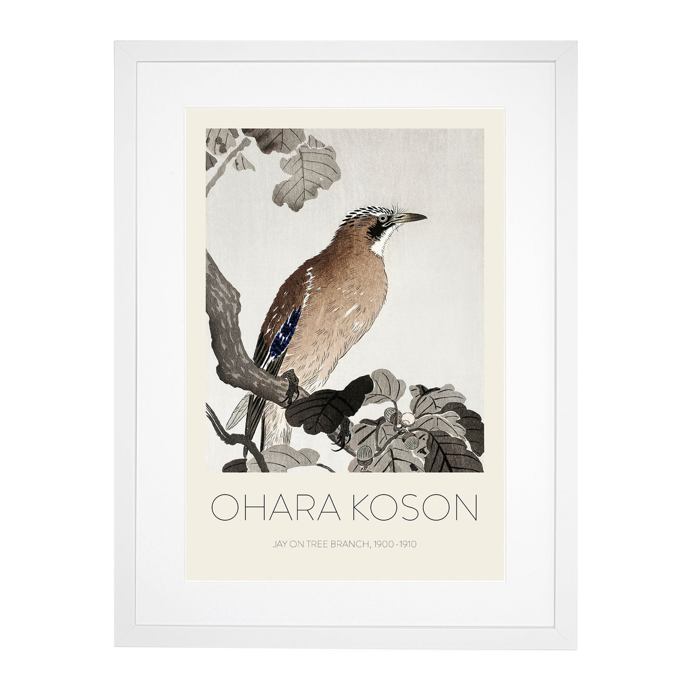 Jay On A Tree Branch Print By Ohara Koson