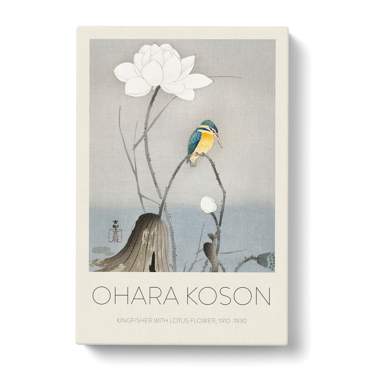 Kingfisher With Lotus Flower Print By Ohara Koson Canvas Print Main Image