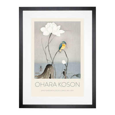 Kingfisher With Lotus Flower Print By Ohara Koson Framed Print Main Image