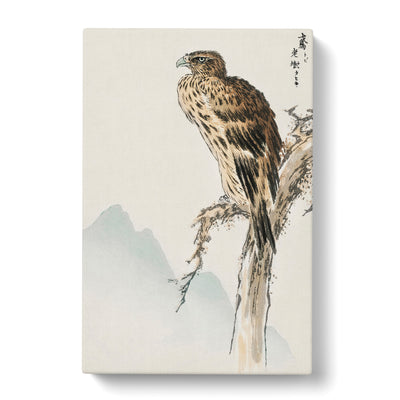 Kite Bird By Numata Kashu Canvas Print Main Image