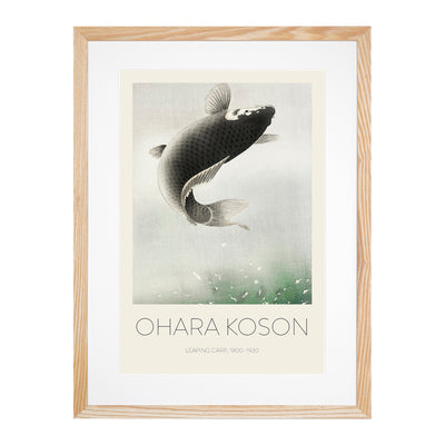 Leaping Carp Fish Print By Ohara Koson