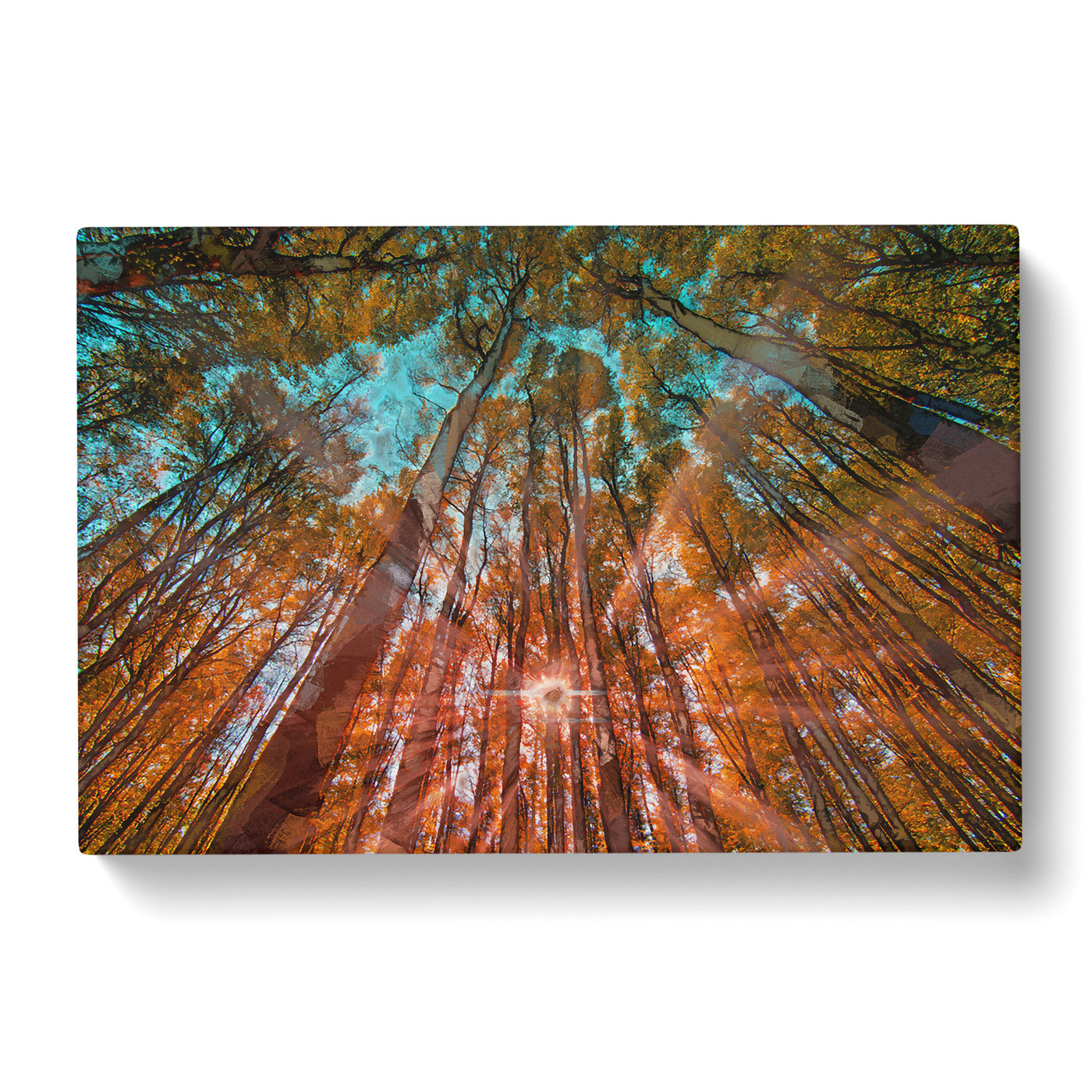 Light Through The Forest Canvas Print Main Image