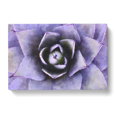 Lilac Succulent Plant Painting Canvas Print Main Image