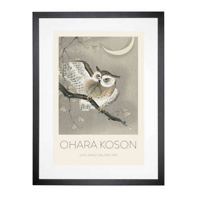 Long Eared Owl Print By Ohara Koson Framed Print Main Image