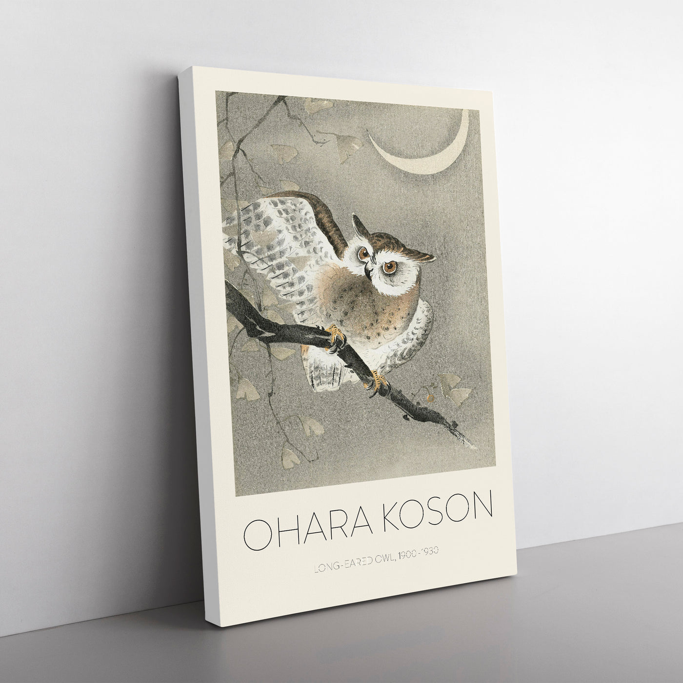 Long Eared Owl Print By Ohara Koson